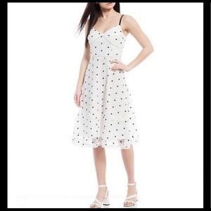 New with Tags! Antonio Melani Summer Dress, Ivory/Black, Size 2